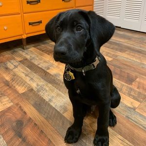 Meet your Posher, Sean-thomas